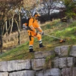Tondeuse Debroussailleuse a Dos Thermique Stihl FR 460 Tc-em – Image 3